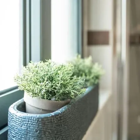 Spacious And Flat In Spinola Bay