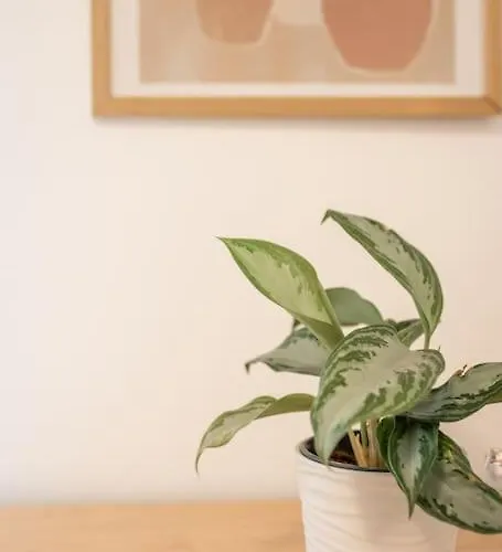 Apartament Spacious And Flat In Spinola Bay *