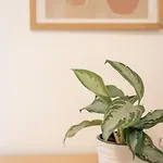 Apartment Spacious And Flat In Spinola Bay *