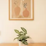 Spacious And Flat In Spinola Bay Διαμέρισμα *