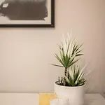 Spacious And Flat In Spinola Bay * Saint Julian's