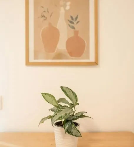 Spacious And Flat In Spinola Bay Lejlighed *