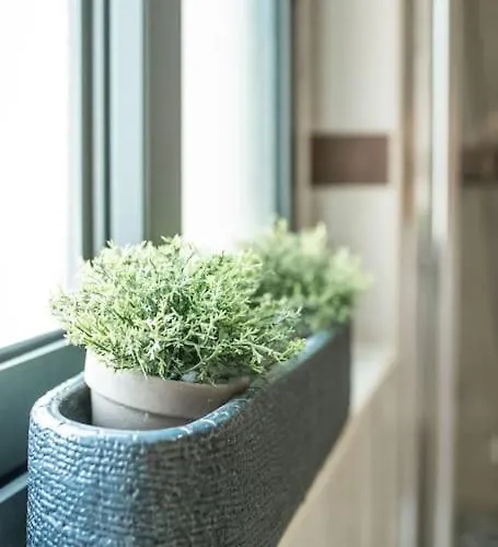 Spacious And Flat In Spinola Bay